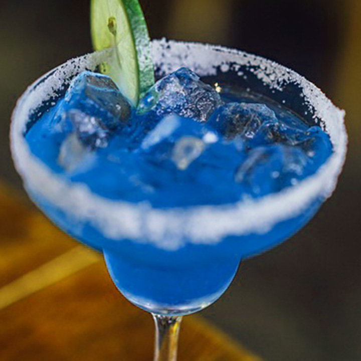 ブルーレディ画像