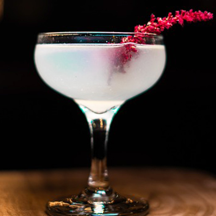 アンシャンテ画像